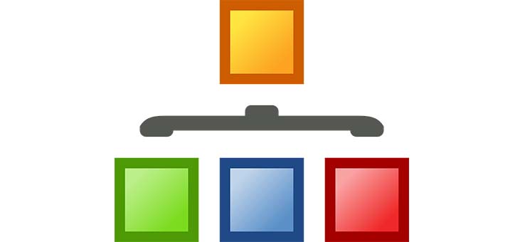 Organización de contenido